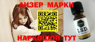 сатива Малгобек