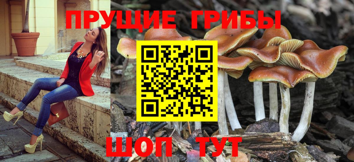 Псилоцибиновые грибы ЛСД  Вход с VPN  Волгоград 