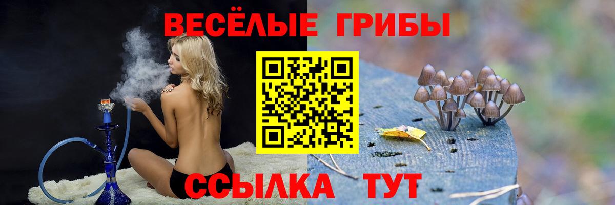 Псилоцибиновые грибы MAGIC MUSHROOMS Волгоград